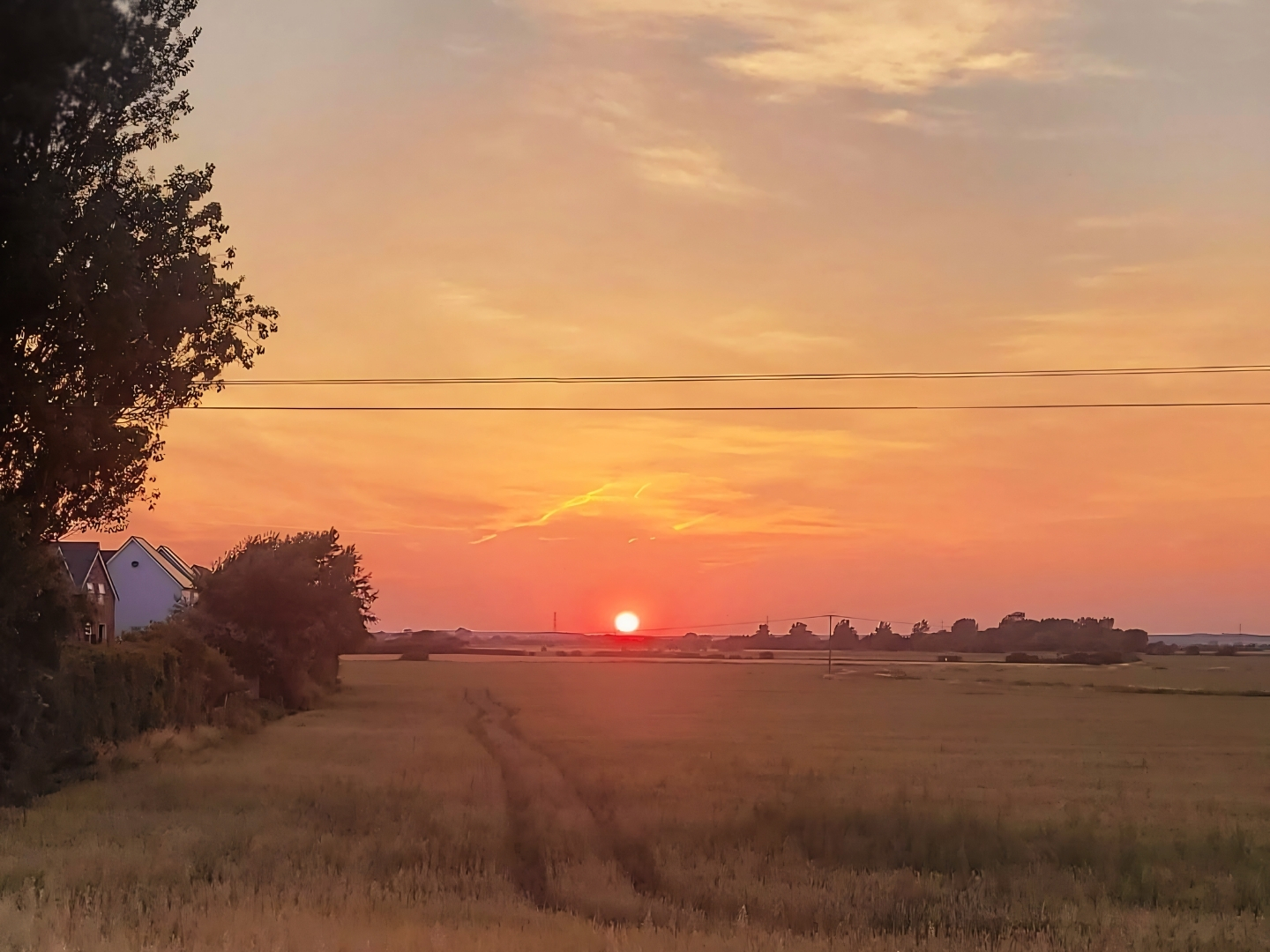 Sun setting over the fields at Cockreed Lane, New Romney, with open countryside stretching towards the horizon.