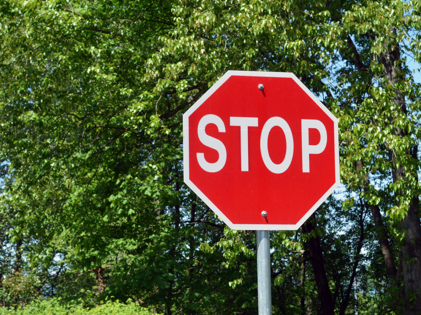 Stop sign representing objections to the proposed Cockreed Lane housing development in New Romney